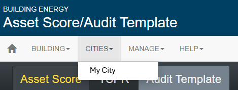 Audit Template Select City